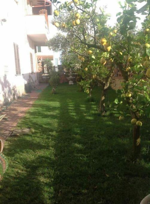 Su Suergiu Βίλα San Giovanni Suèrgiu Εξωτερικό φωτογραφία